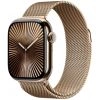 Умные часы Apple Watch Series 10 46 мм, Titanium Case Cellular, Milanese Loop, Gold