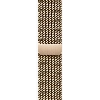 Умные часы Apple Watch Series 9 41 мм Steel Case, Gold Milanese Loop