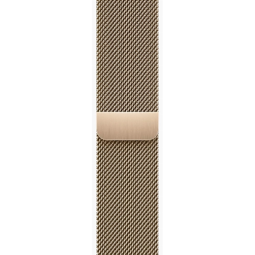 Умные часы Apple Watch Series 9 41 мм Steel Case, Gold Milanese Loop