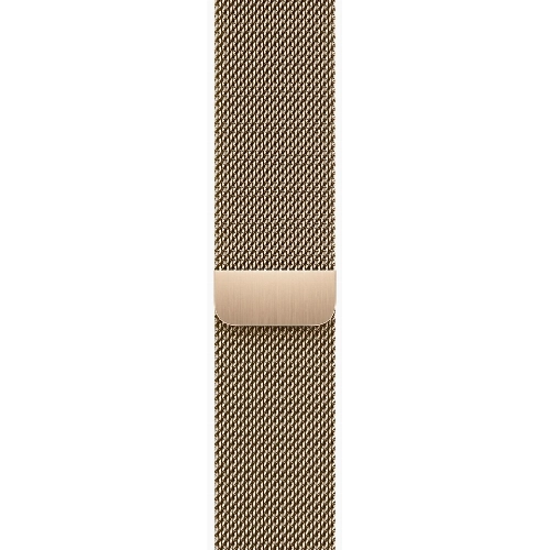 Умные часы Apple Watch Series 9 45 мм Steel Case, Gold Milanese Loop