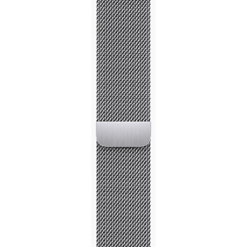 Умные часы Apple Watch Series 9 45 мм Steel Case, Silver Milanese Loop